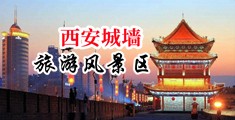 日本大鸡吧中国陕西-西安城墙旅游风景区